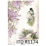 Ριζόχαρτο ITD Collection, 21x29cm, R1174