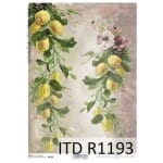 Ριζόχαρτο ITD Collection, 21x29cm, R1193