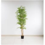 BAMBOO  NP6321_180_22  ΥΨΟΣ 180cm NewPlan - Image 3