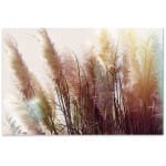 Πίνακας σε καμβά "Soft Pampas"  ψηφιακής εκτύπωσης 125x80x3εκ.