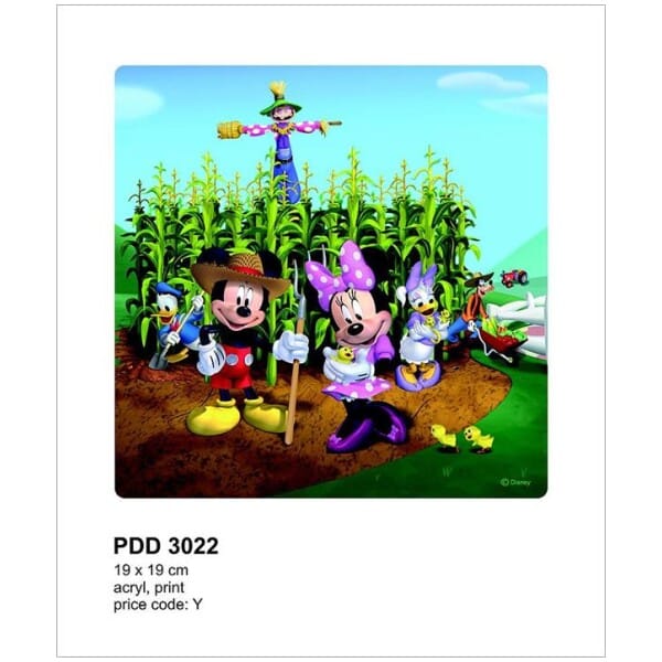 3022PDD ΣΤΟΚ Π.Χ ΔΙΑΚΟΣΜΗΤΙΚΟ ΠΑΝΕΛ ΠΛΕΞΙΓΚΛΑΣ Y (DECOPLEX) DISNEY A&G 019*019 NewPlan - Image 1