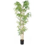 BAMBOO  NP5801_180_22_UV  ΥΨΟΣ 180cm NewPlan