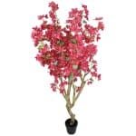 BOUGAINVILLEA  NP0422_170  ΥΨΟΣ 170cm NewPlan