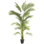 PALM TREE  NP5500_240_22 ΥΨΟΣ 240cm NewPlan