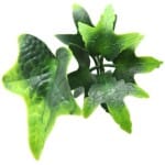 ΠΑΝΕΛ ΦΥΛΛΩΣΙΑΣ PORTO 50 Χ 50 A202 SUBTROPICS NewPlan - Image 3