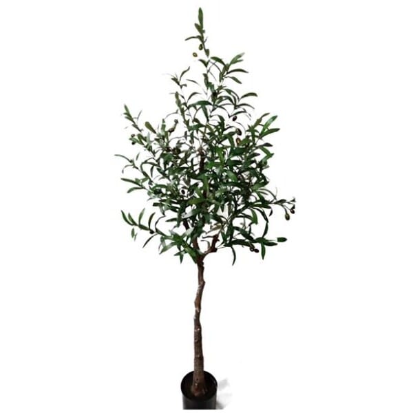 OLIVE TREE NP4817_160_22   ΥΨΟΣ 160cm NewPlan