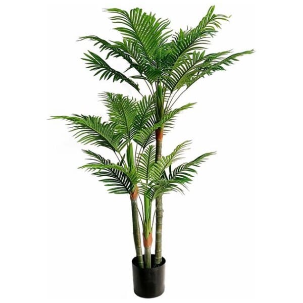 PALM TREE  NP0268_170 ΥΨΟΣ 170cm NewPlan