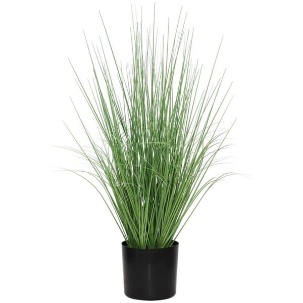 ONION GRASS TREE  NP1009_60 ΥΨΟΣ 60cm NewPlan - Image 1