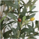 OLIVE TREE NP439_150  ΥΨΟΣ 150cm NewPlan - Image 2
