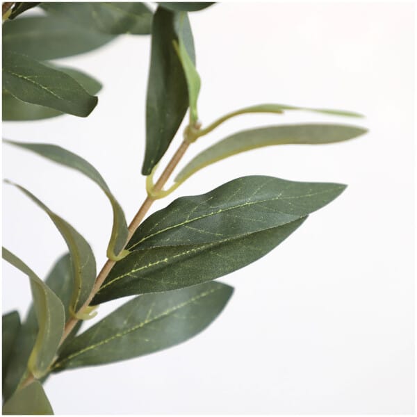OLIVE TREE NP439_150  ΥΨΟΣ 150cm NewPlan - Image 3