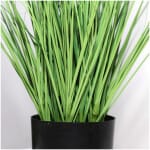 ONION GRASS TREE  NP1009_60 ΥΨΟΣ 60cm NewPlan - Image 2