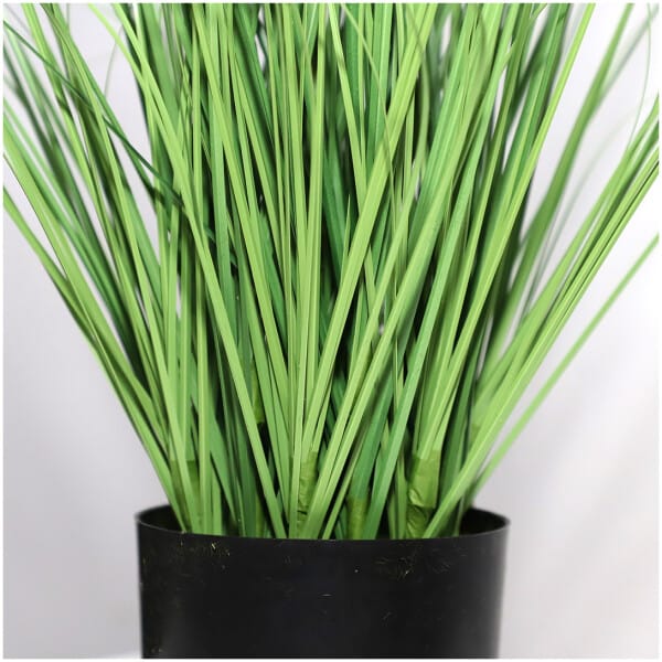 ONION GRASS TREE  NP1009_60 ΥΨΟΣ 60cm NewPlan - Image 2