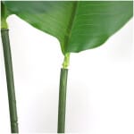 BIRD OF PARADISE  NP717_160  ΥΨΟΣ 160cm NewPlan - Image 2