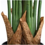 BIRD OF PARADISE  NP717_160  ΥΨΟΣ 160cm NewPlan - Image 3