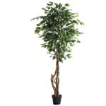 FICUS TREE NP5209_180  ΥΨΟΣ 180cm NewPlan