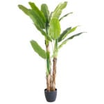 BANANA TREE NP6327_180_22  ΥΨΟΣ 180cm NewPlan