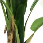 BANANA TREE NP014_120_22  ΥΨΟΣ 120cm NewPlan - Image 2