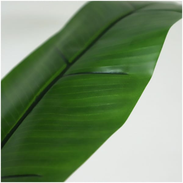 BANANA TREE NP014_120_22  ΥΨΟΣ 120cm NewPlan - Image 3