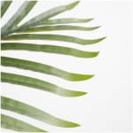 PALM TREE  NP0266_140 ΥΨΟΣ 140cm NewPlan - Image 3