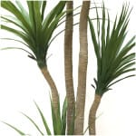 DRACAENA  NP_28_155  ΥΨΟΣ 155cm NewPlan - Image 2