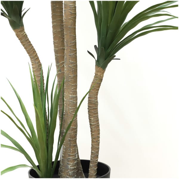 DRACAENA  NP_28_155  ΥΨΟΣ 155cm NewPlan - Image 3