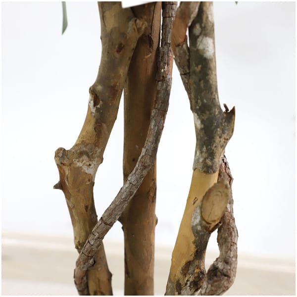 FICUS TREE NP5209_180  ΥΨΟΣ 180cm NewPlan - Image 3