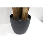 BANANA TREE NP6327_180_22  ΥΨΟΣ 180cm NewPlan - Image 2