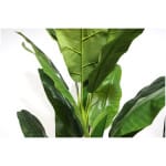 BANANA TREE NP6327_180_22  ΥΨΟΣ 180cm NewPlan - Image 3