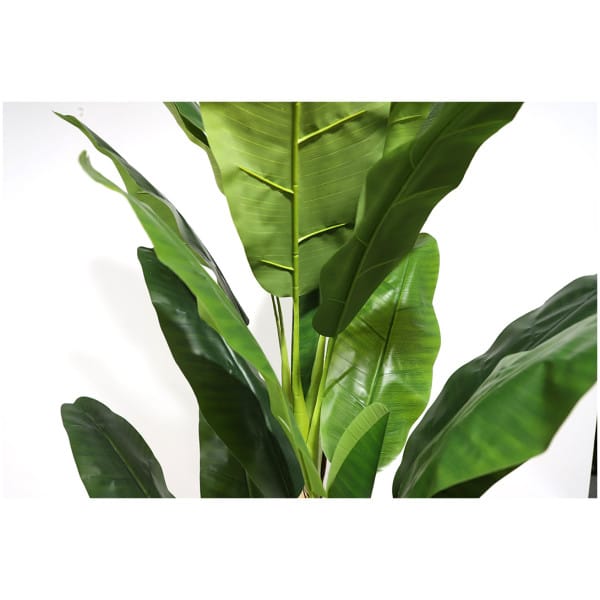 BANANA TREE NP6327_180_22  ΥΨΟΣ 180cm NewPlan - Image 3