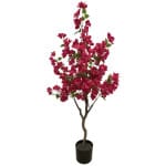 BOUGAINVILLEA  NP_70_120  ΥΨΟΣ 120cm NewPlan