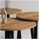 Τραπεζάκι σαλονιού σετ 3 τμχ Roma  χρώμα oak Φ60x46εκ. - Image 5