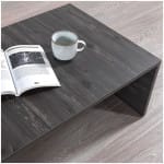 Τραπεζάκι σαλονιού Regnar  χρώμα rebab 100,6x55x31,8εκ. - Image 5