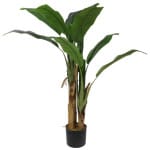 BANANA TREE NP702_145  ΥΨΟΣ 145cm NewPlan