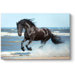 Πίνακας σε καμβά "Black Horse"  ψηφιακής εκτύπωσης 100x70x3εκ.