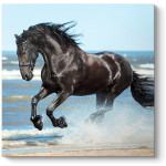 Πίνακας σε καμβά "Black Horse"  ψηφιακής εκτύπωσης 60x60x3εκ.