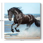 Πίνακας σε καμβά "Black Horse"  ψηφιακής εκτύπωσης 60x60x3εκ. - Image 3
