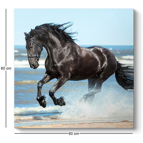 Πίνακας σε καμβά "Black Horse"  ψηφιακής εκτύπωσης 60x60x3εκ. - Image 3